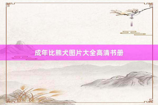 成年比熊犬图片大全高清书册